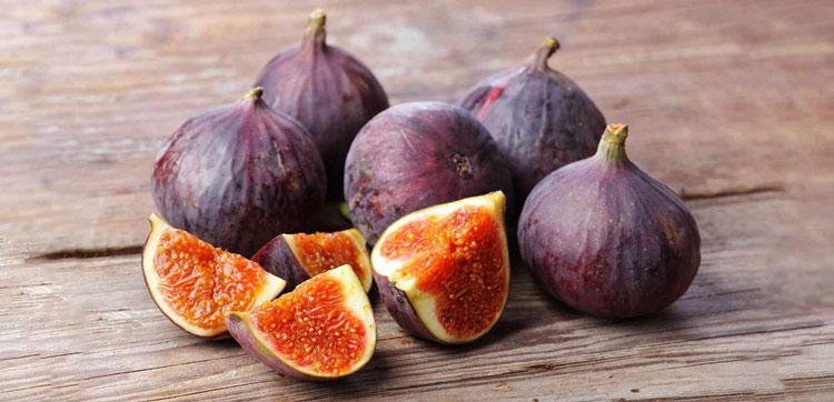 Dried Figs Suppliers