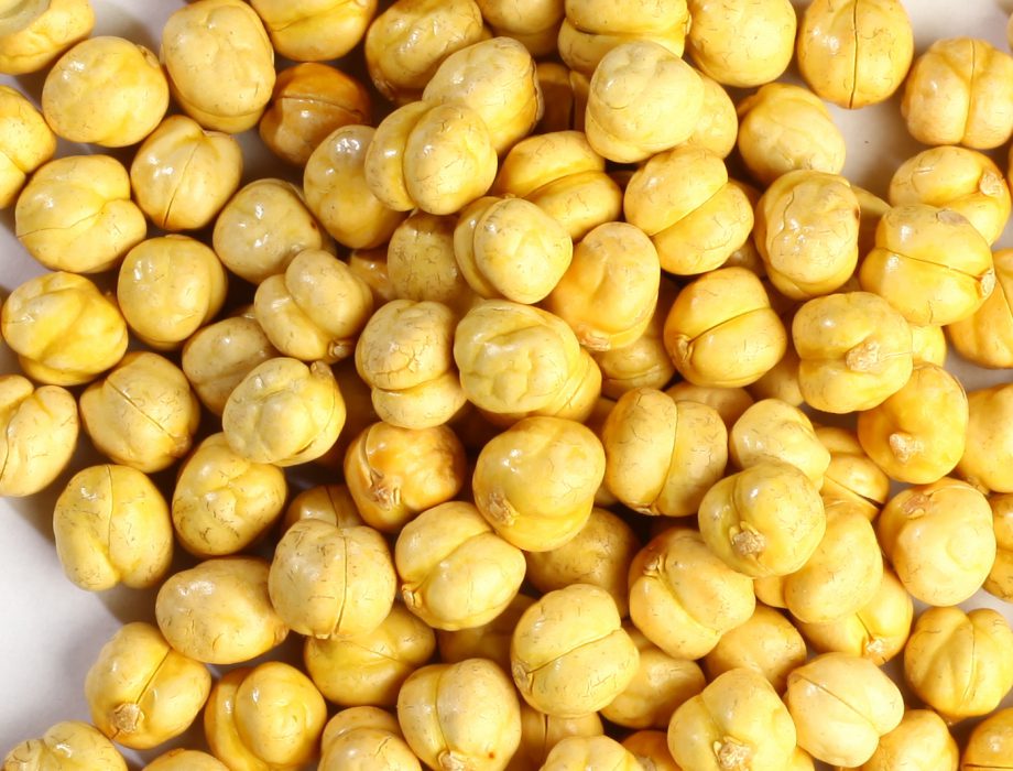 roasted chickpea export