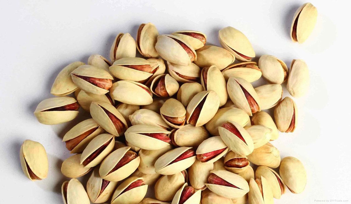 Ahmad Aghaei Long Iranian pistachio